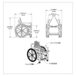 F-520SPPS POOL ACCESS CHAIR SPE