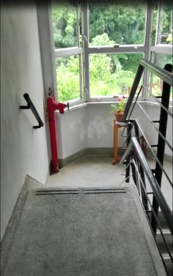 There is a red fire hydrant on the stairwell landing of the Wheelchair King, green plants on the windows, and a small table filled with plants.